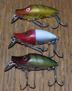 3 Midget River Runts