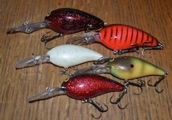 5 Norman Baits