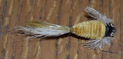 WriMac Bass Bug