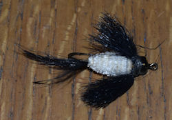 WriMac Bass Bug