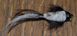 WriMac Bass Bug