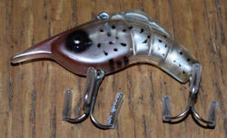Craw Shrimp
