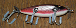 Injured Minnow