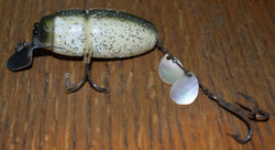 Beetle