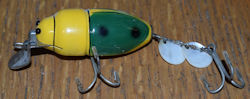 Beetle