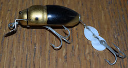 Beetle