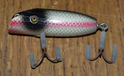 Baby Bass-oreno