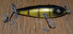 Injured Minnow